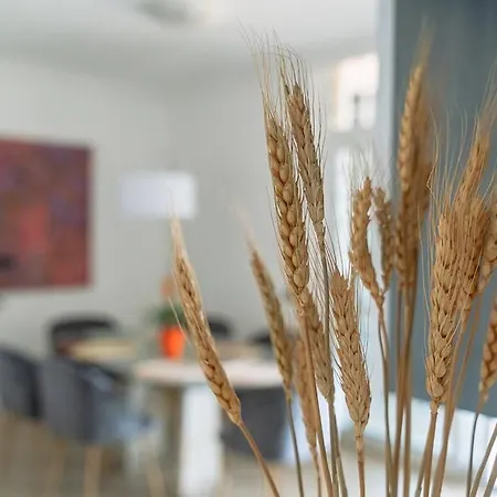 شقة Residenza Dell Agrifoglio